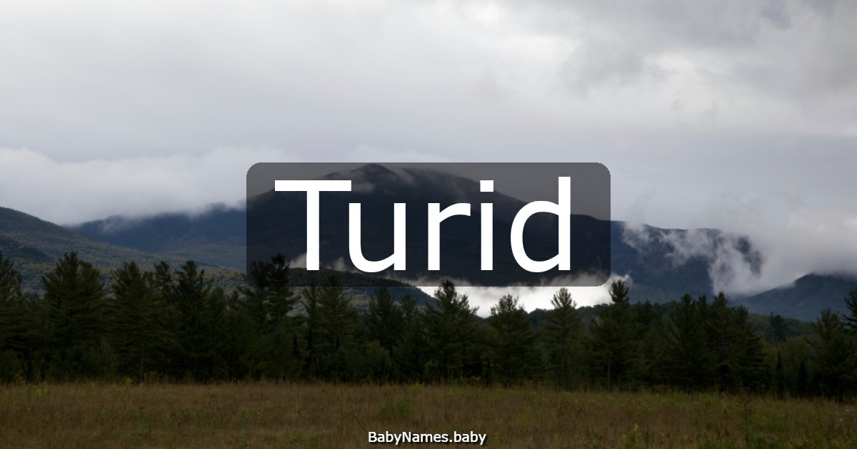 Turid