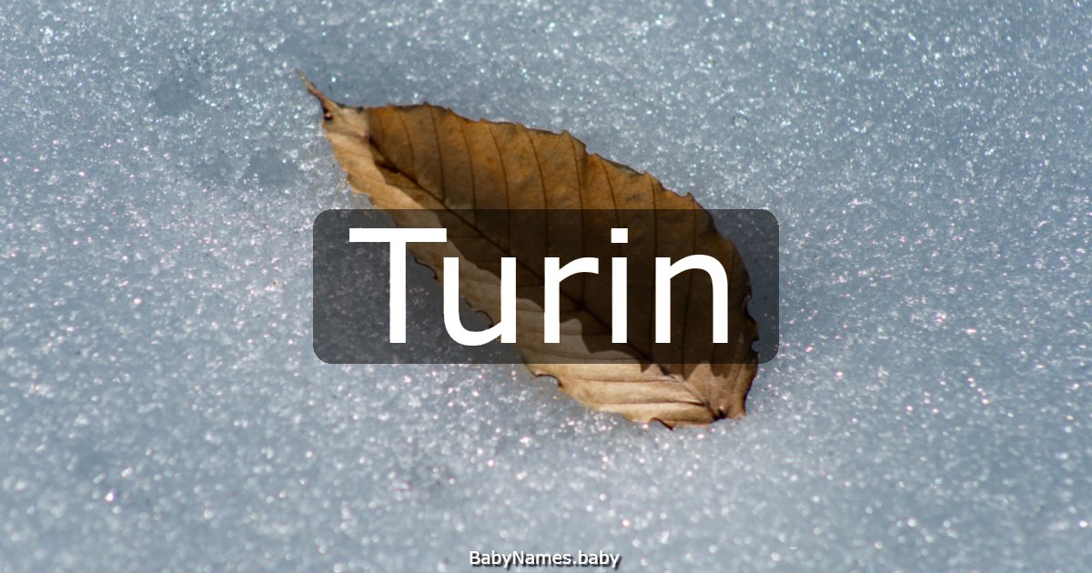 Turin