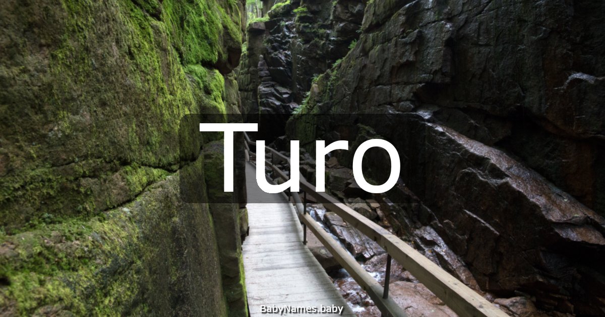 Turo