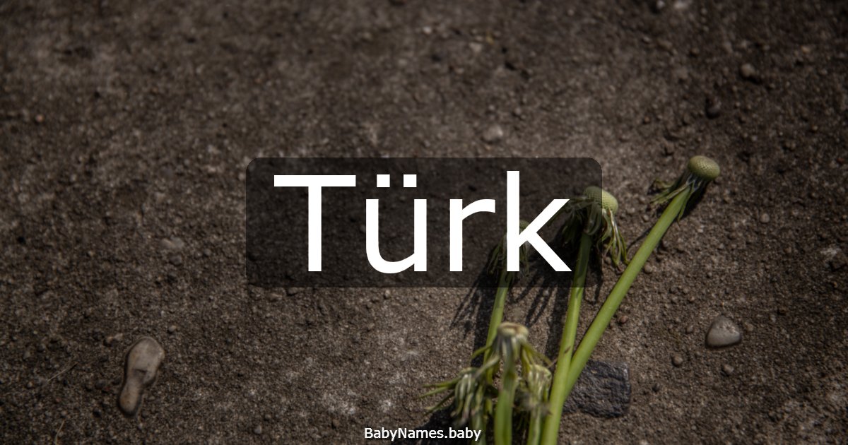 Türk