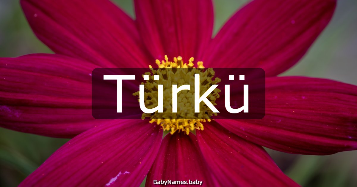 Türkü