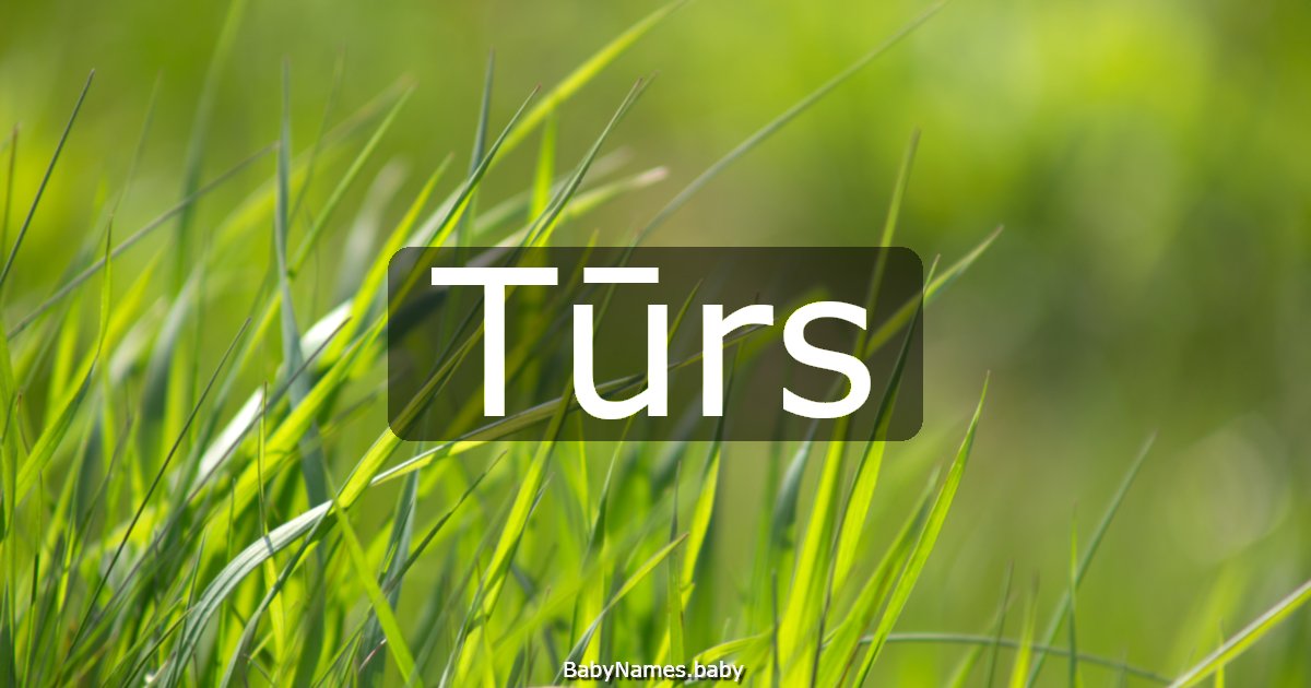 Tūrs