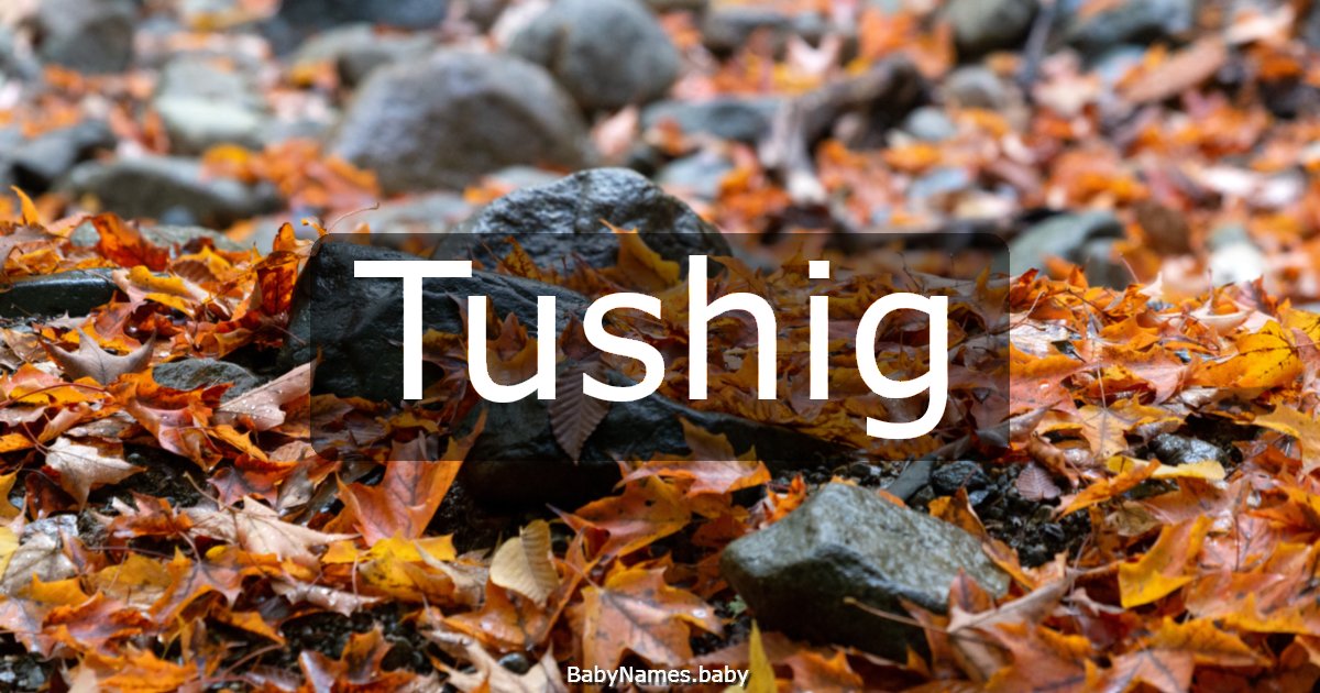 Tushig
