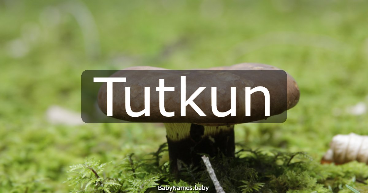Tutkun