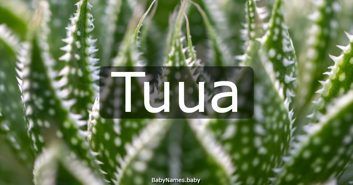 Tuua