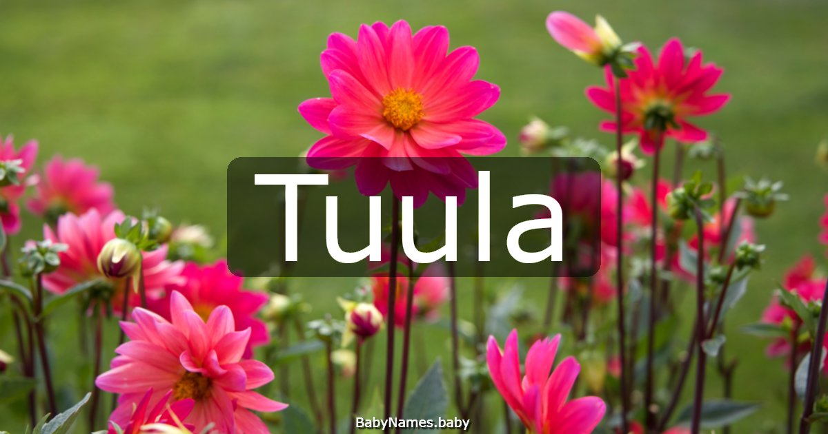 Tuula