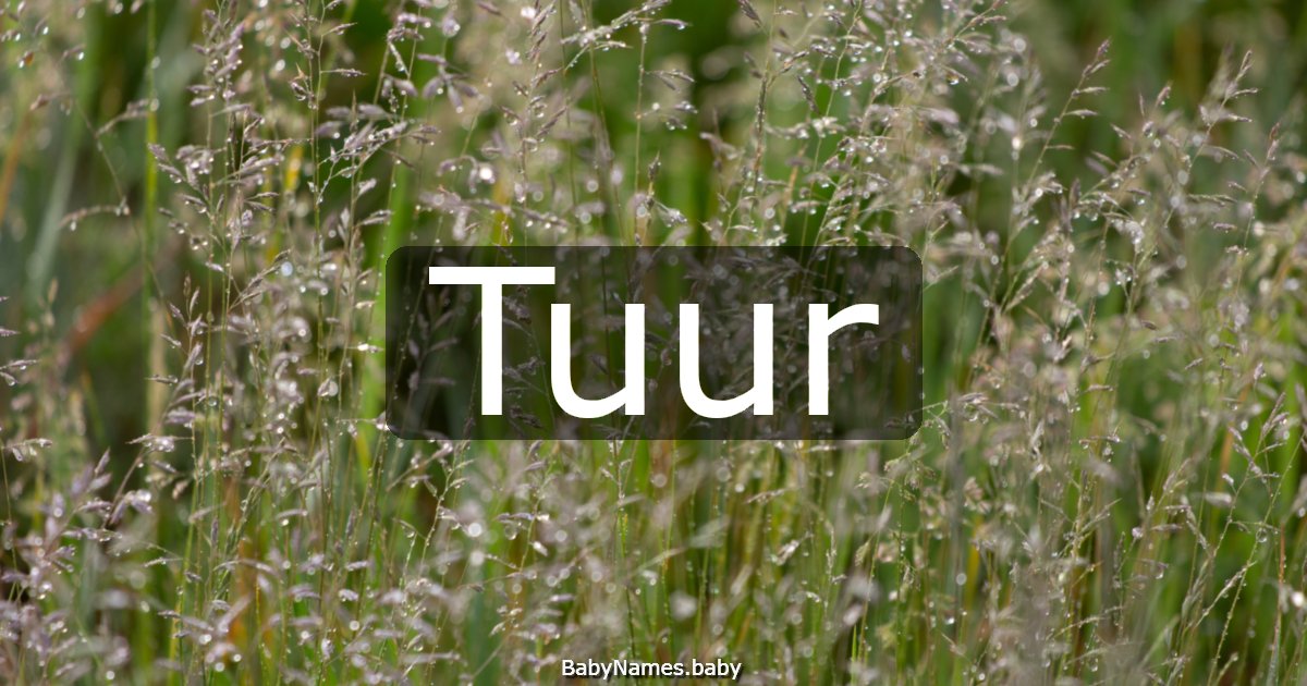 Tuur