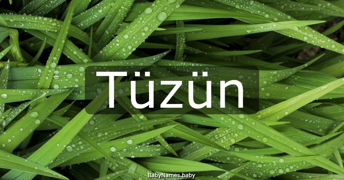 Tüzün