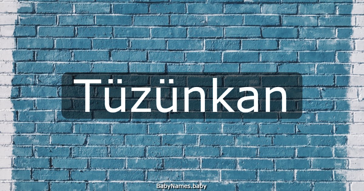 Tüzünkan