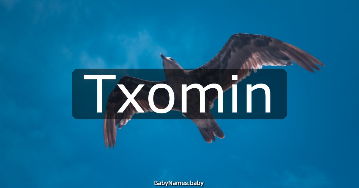 Txomin