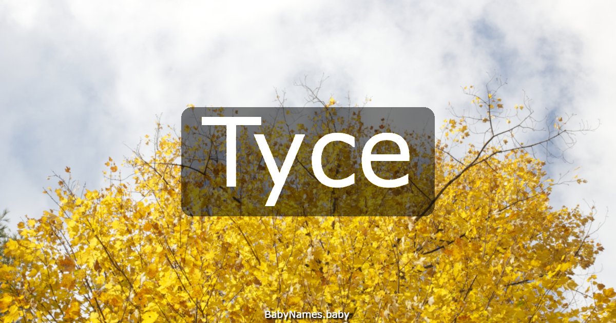 Tyce