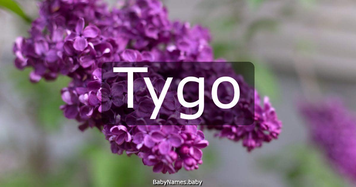 Tygo