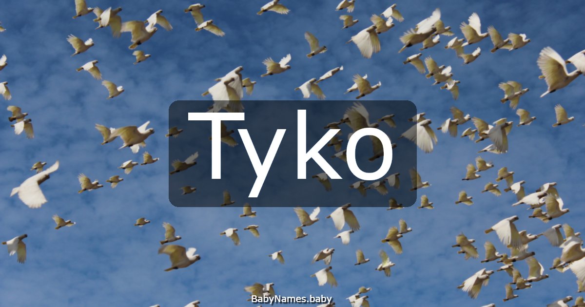 Tyko