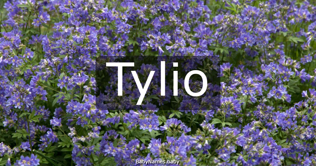 Tylio