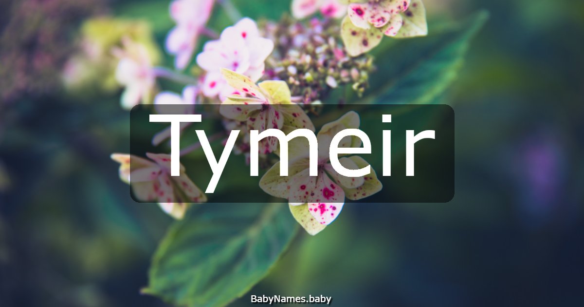 Tymeir