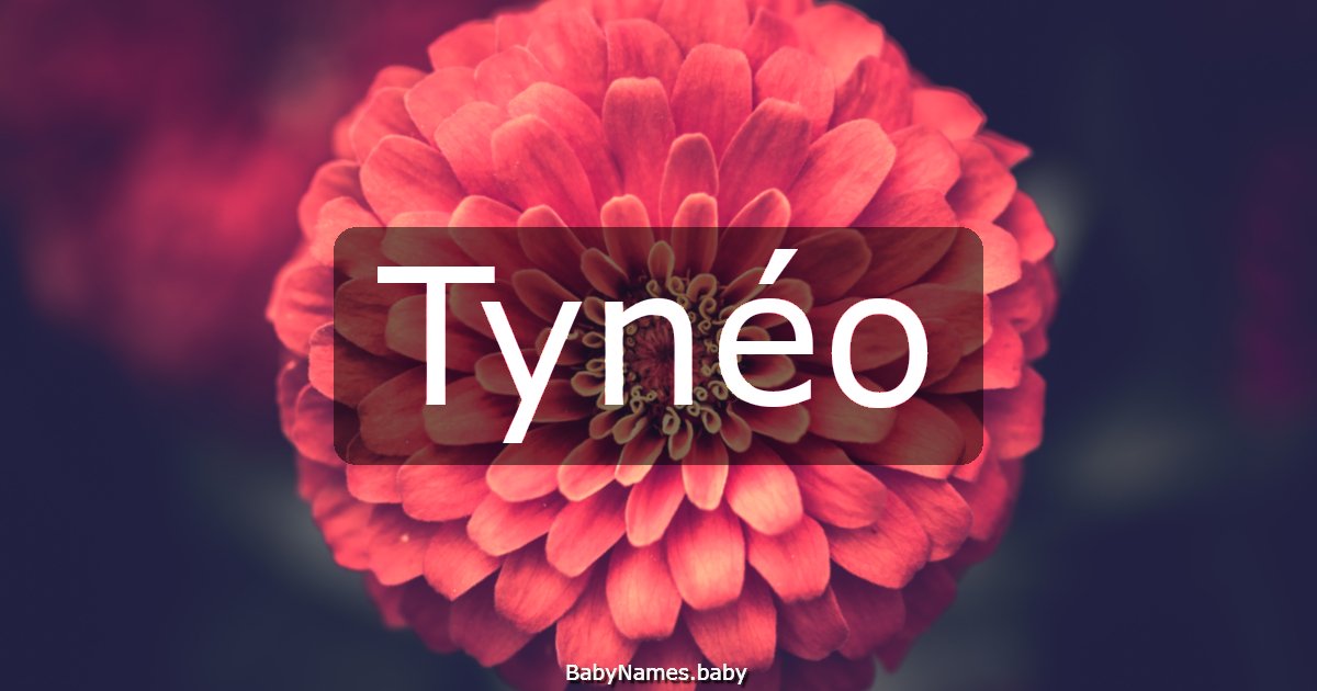 Tynéo