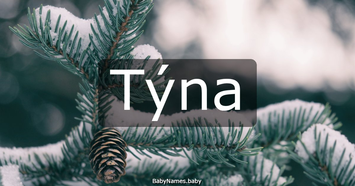 Týna