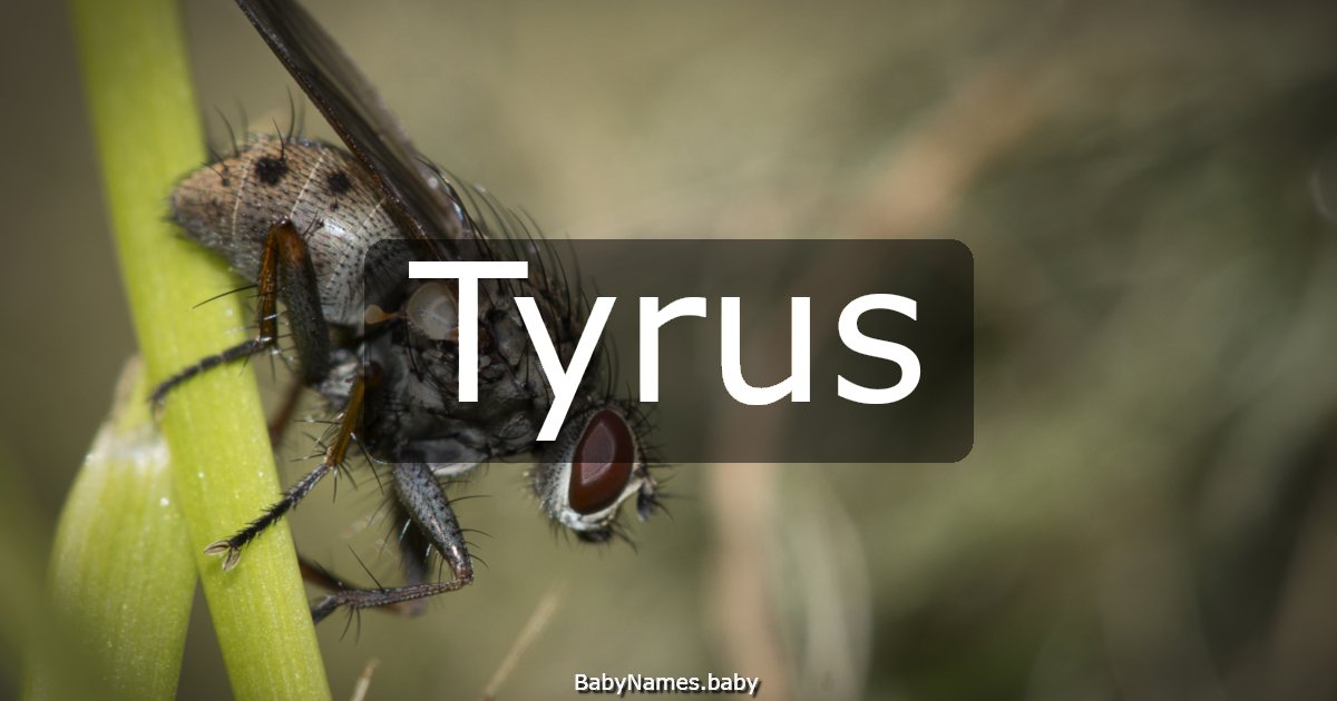 Tyrus