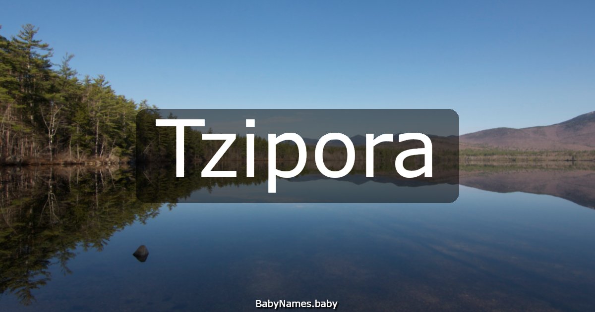 Tzipora