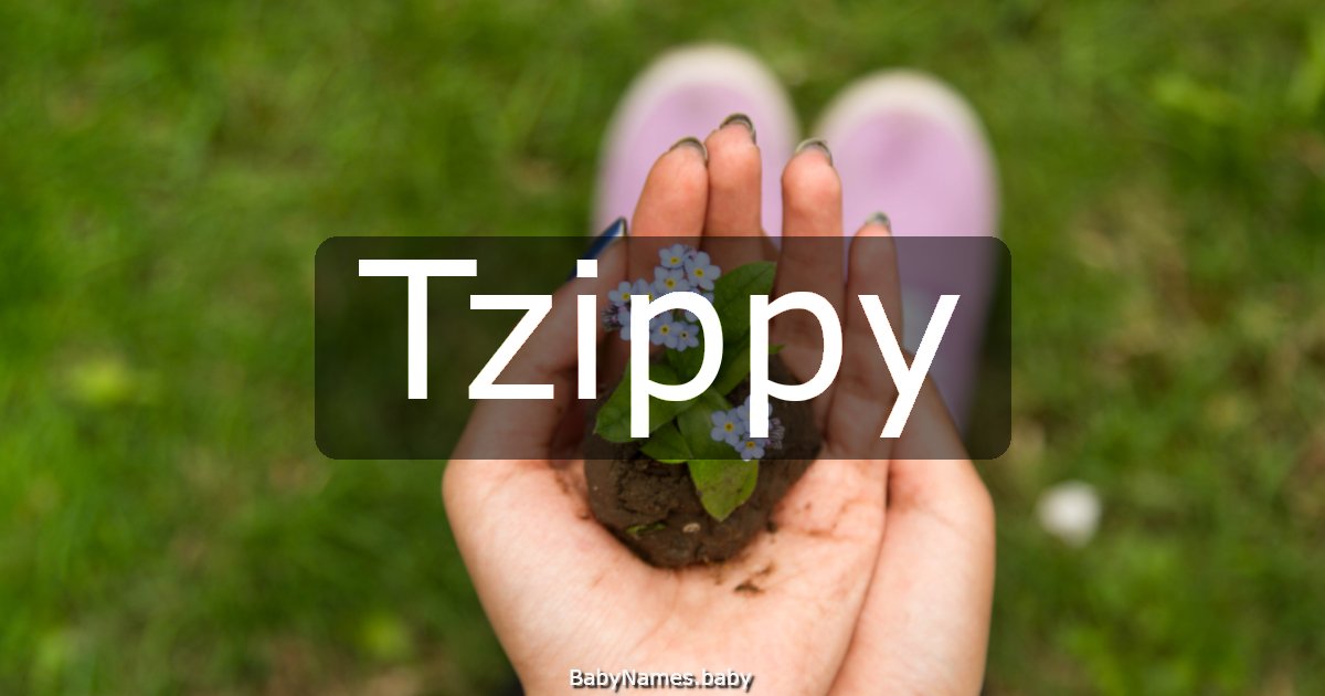 Tzippy
