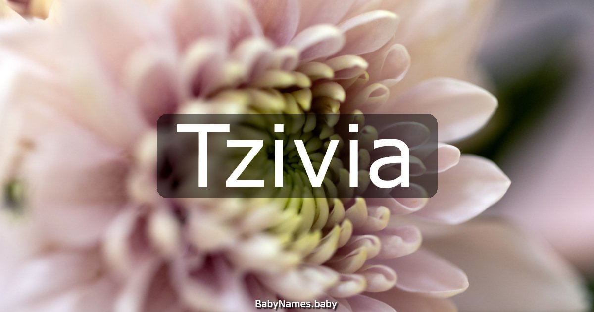 Tzivia