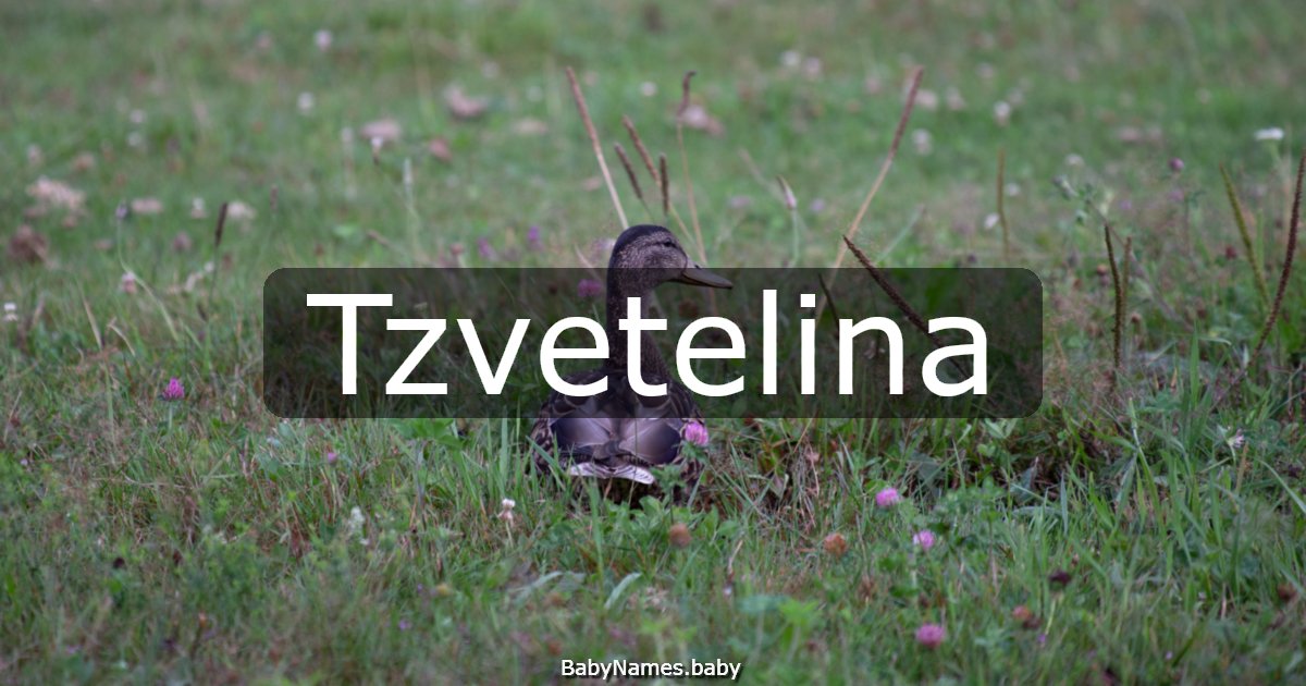 Tzvetelina