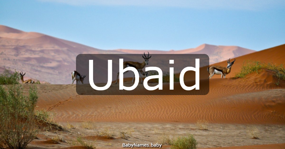 Ubaid