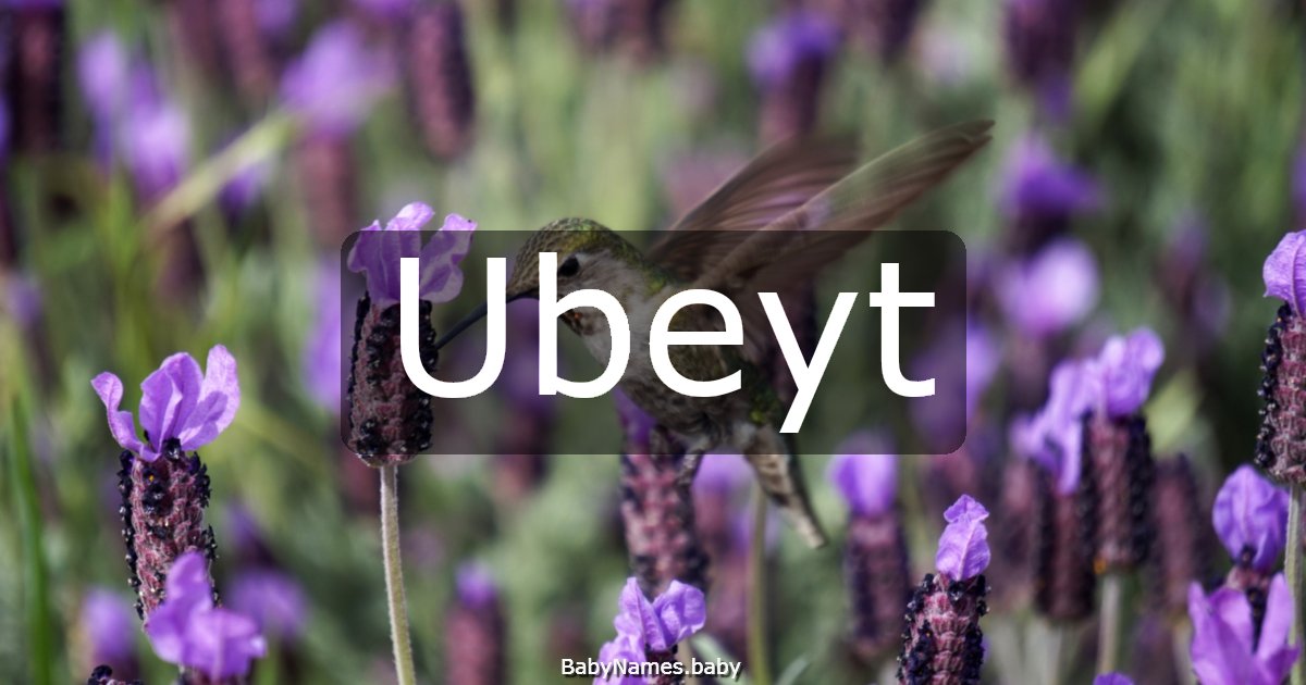 Ubeyt