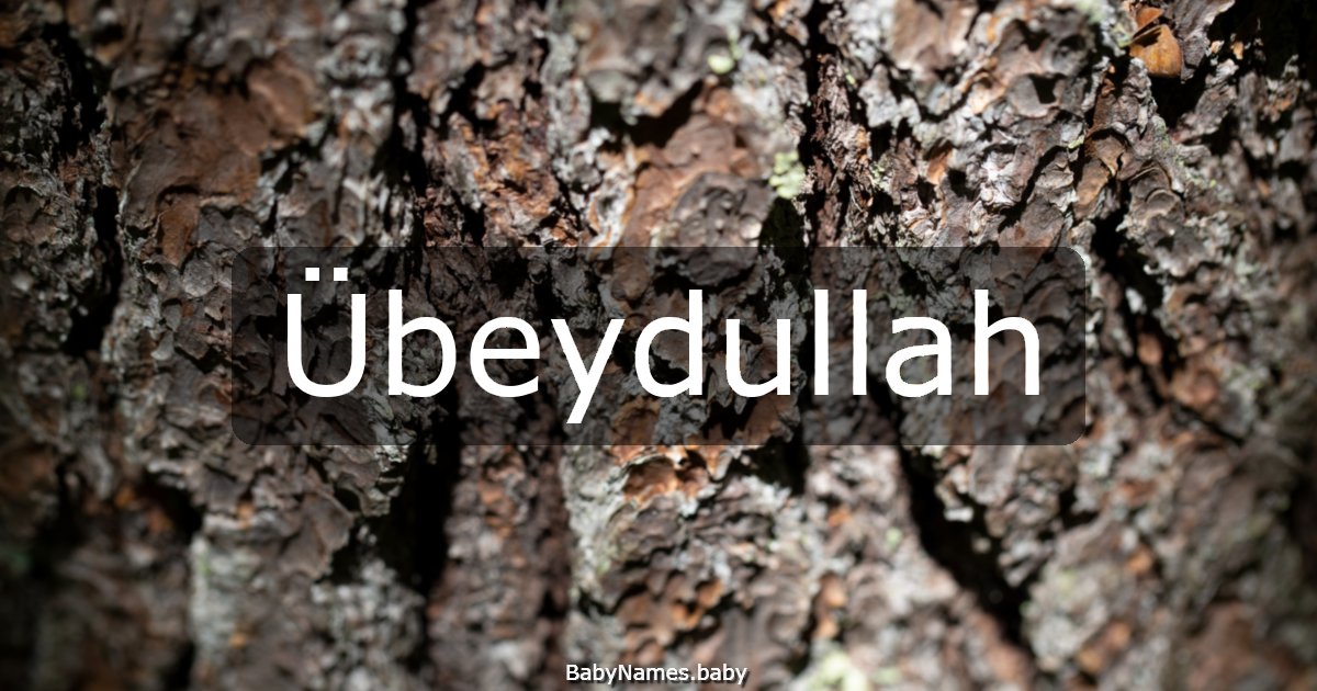 Übeydullah