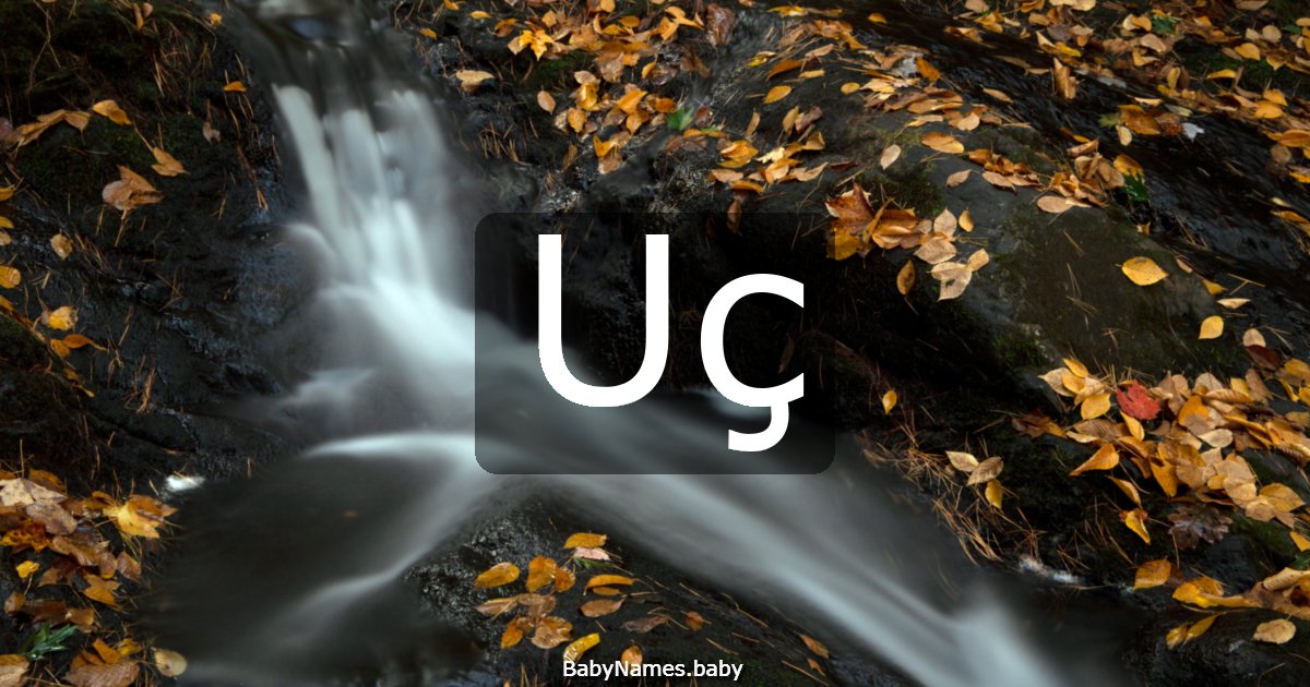 Uç