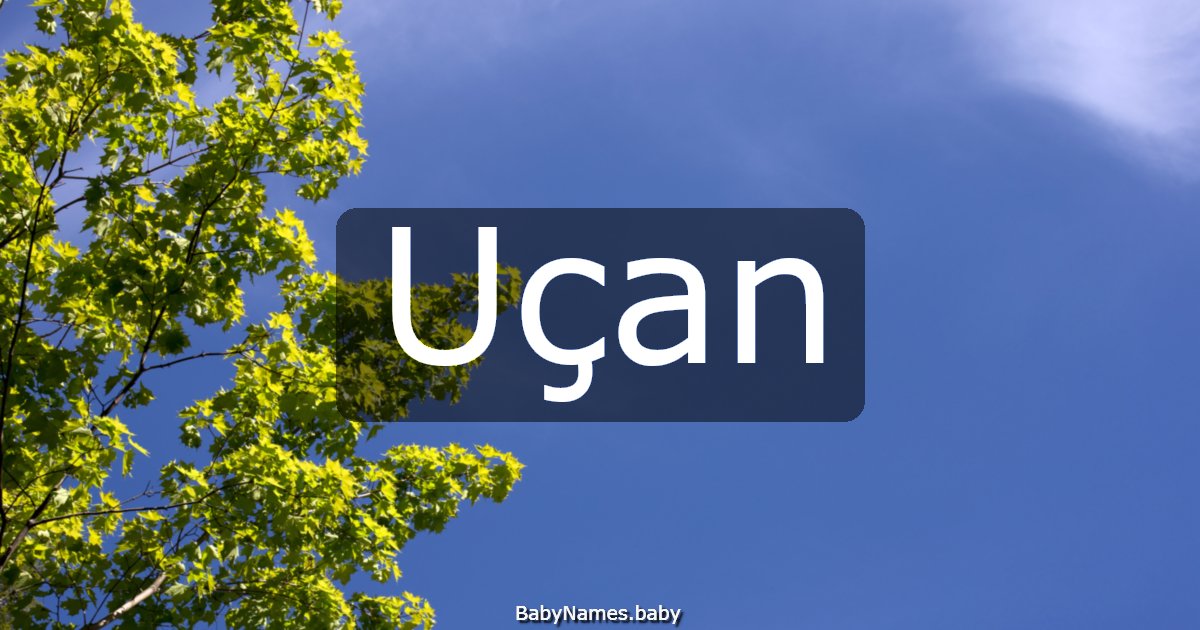 Uçan