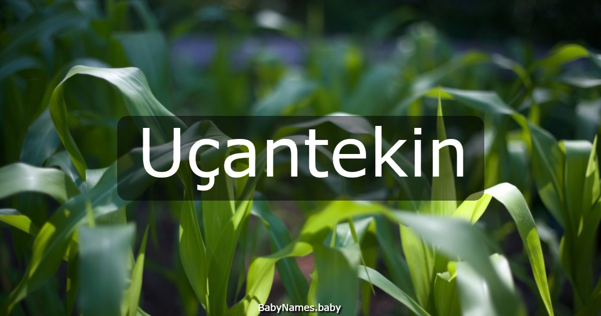 Uçantekin