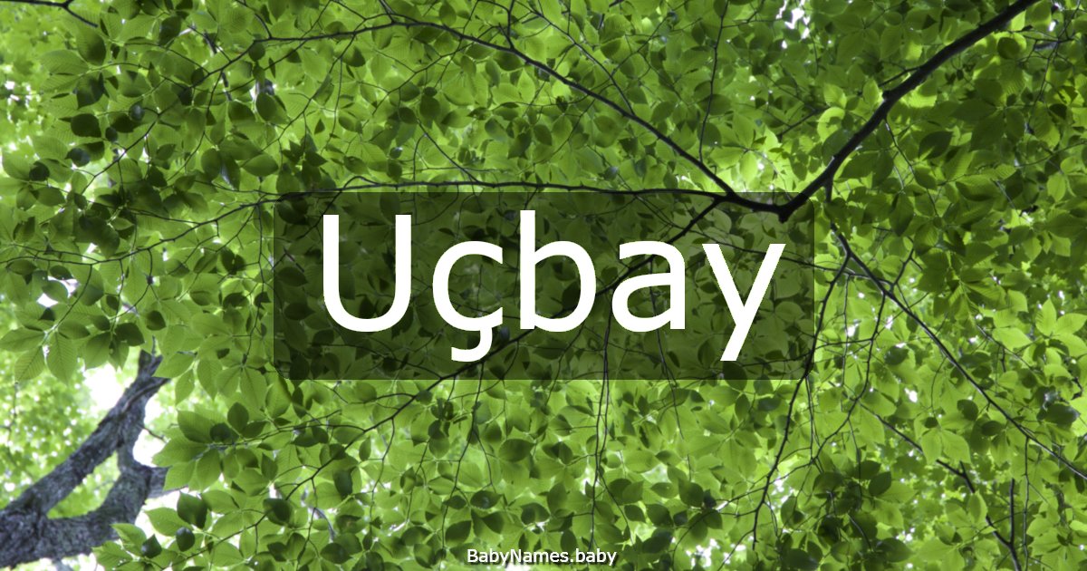 Uçbay