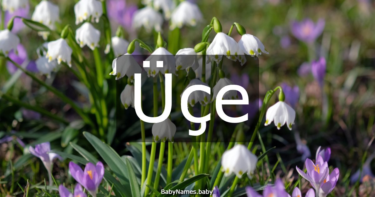 Üçe