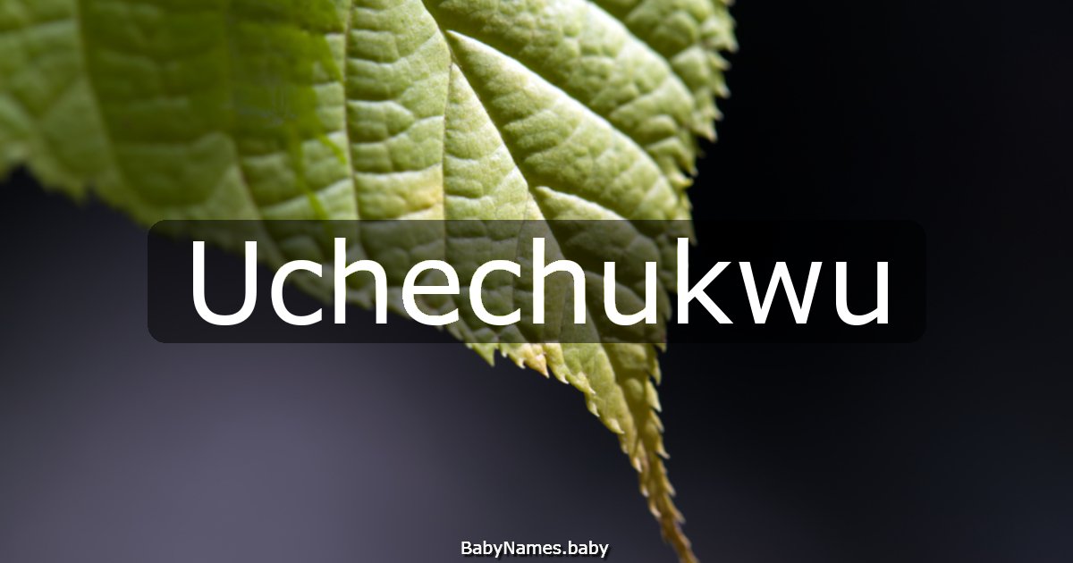 Uchechukwu