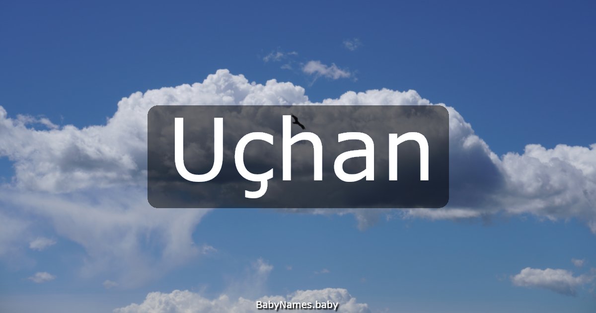 Uçhan