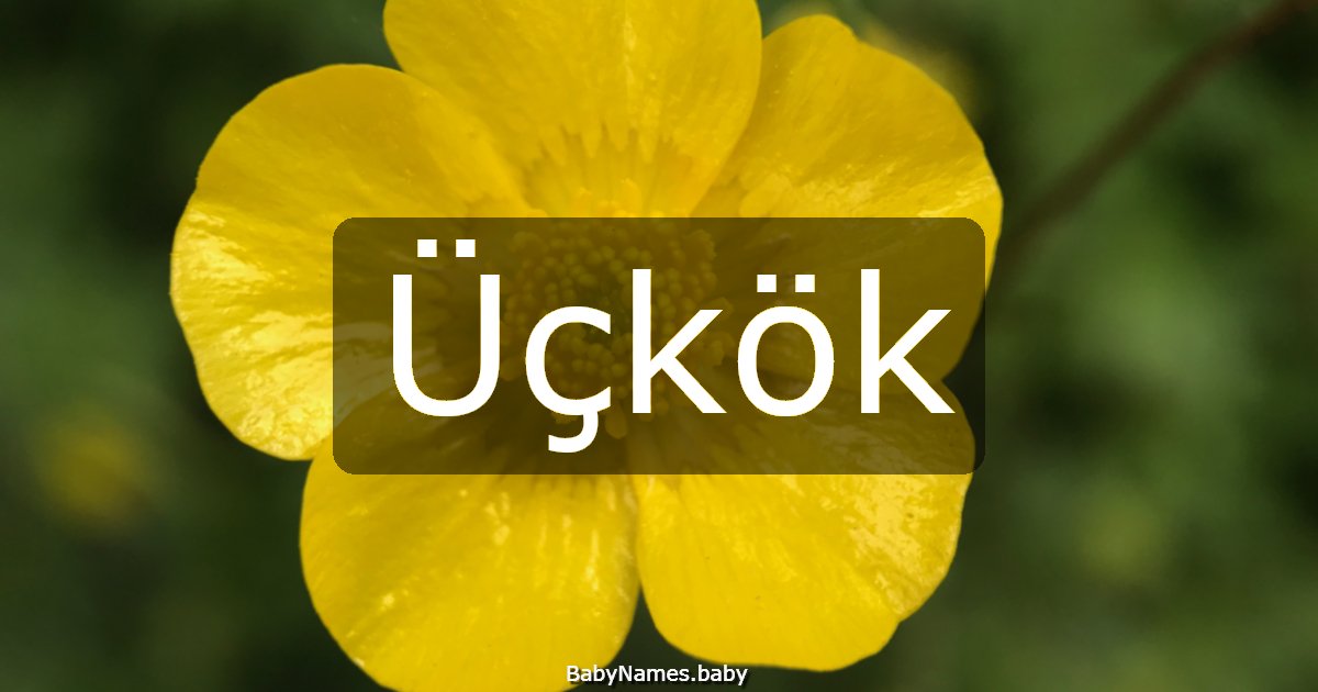Üçkök