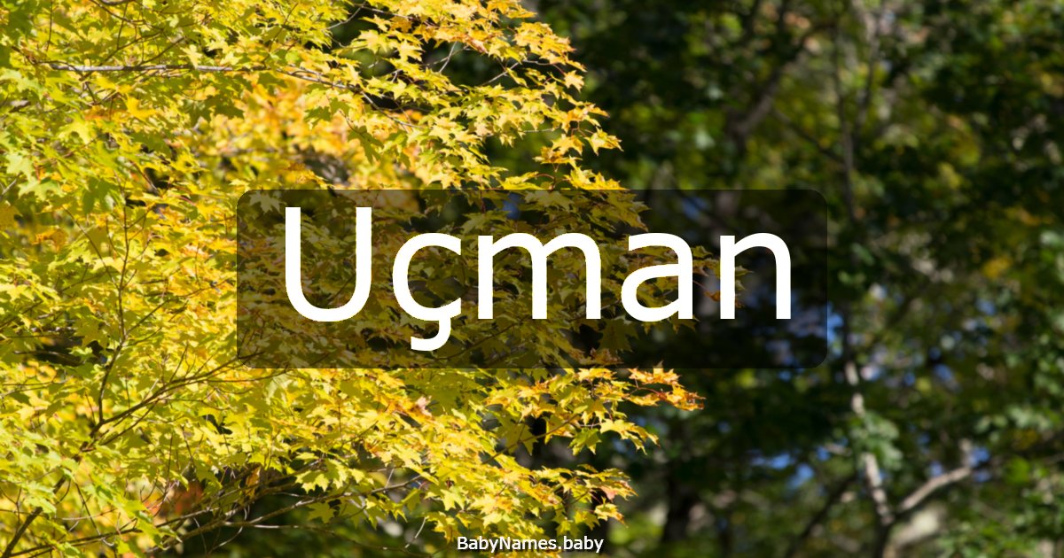 Uçman
