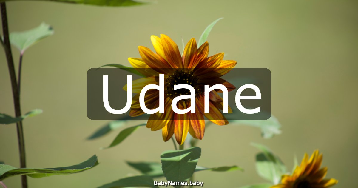 Udane