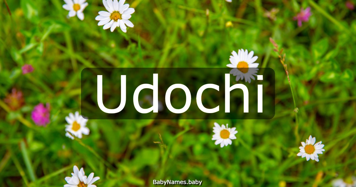 Udochi