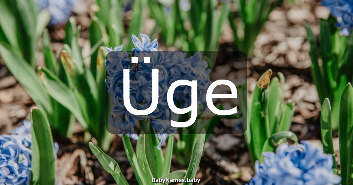 Üge