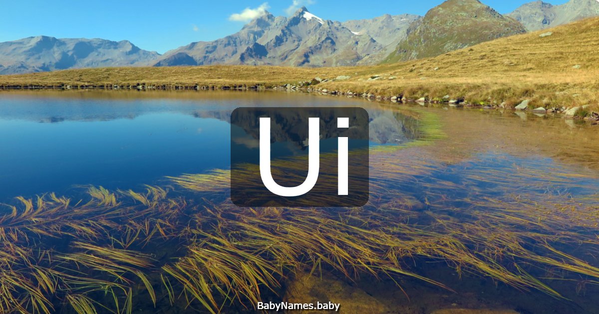 Ui