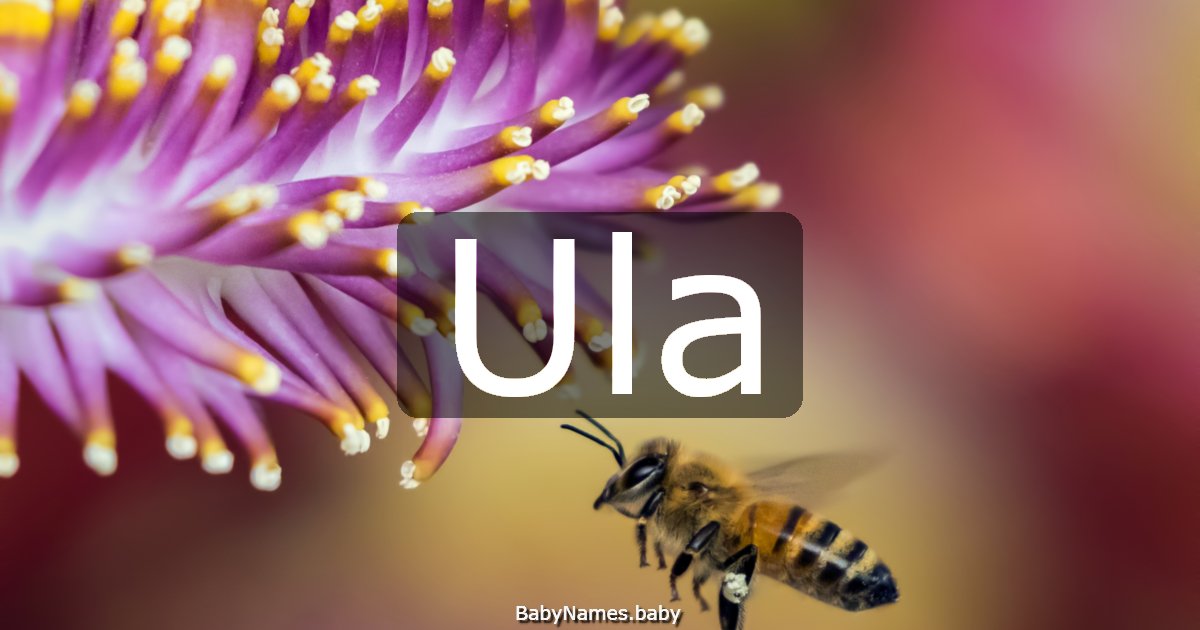 Ula