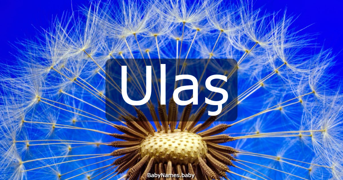 Ulaş