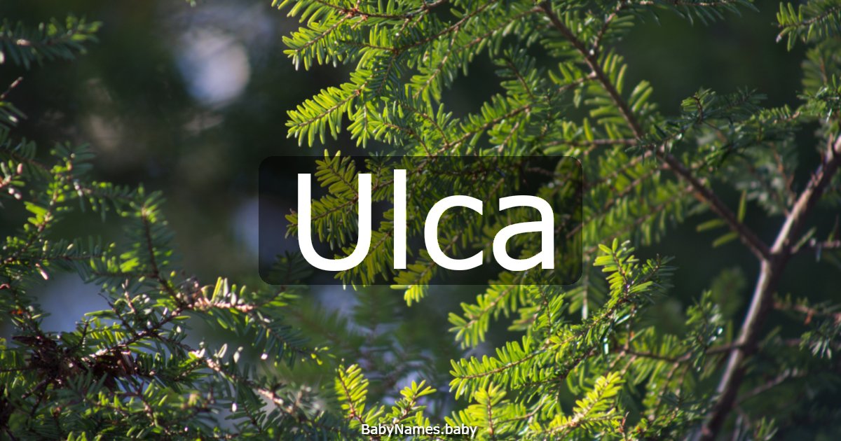 Ulca