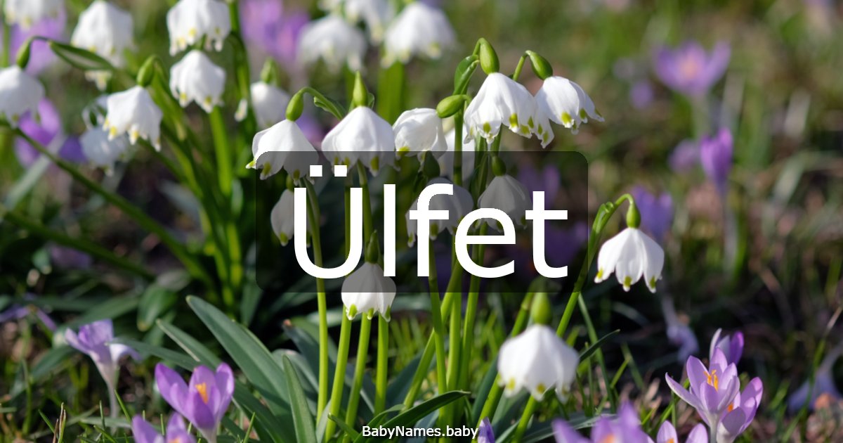 Ülfet