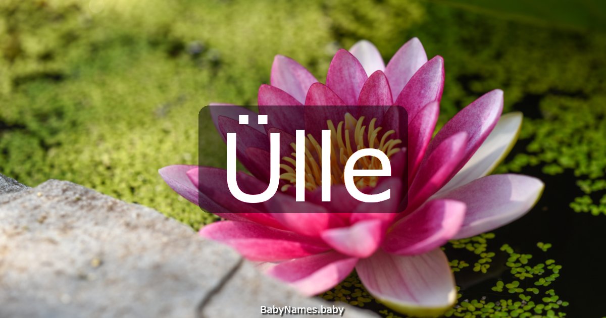 Ülle