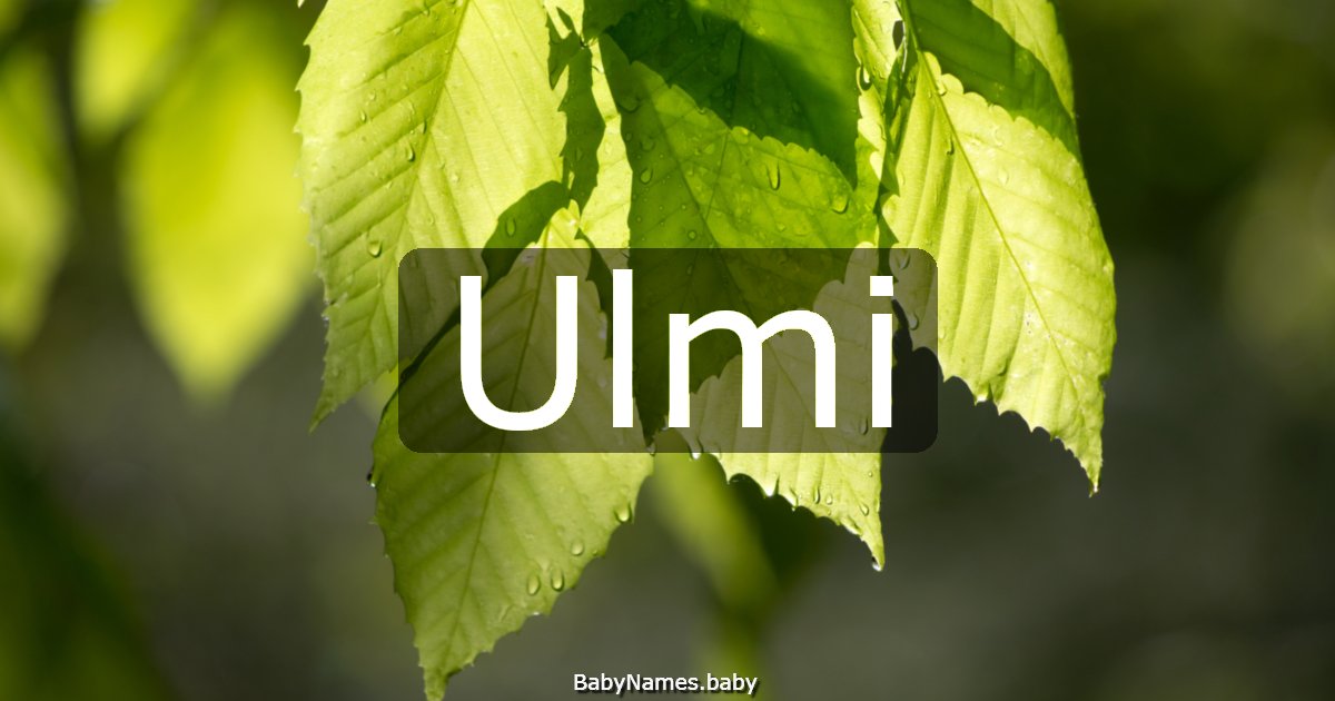 Ulmi