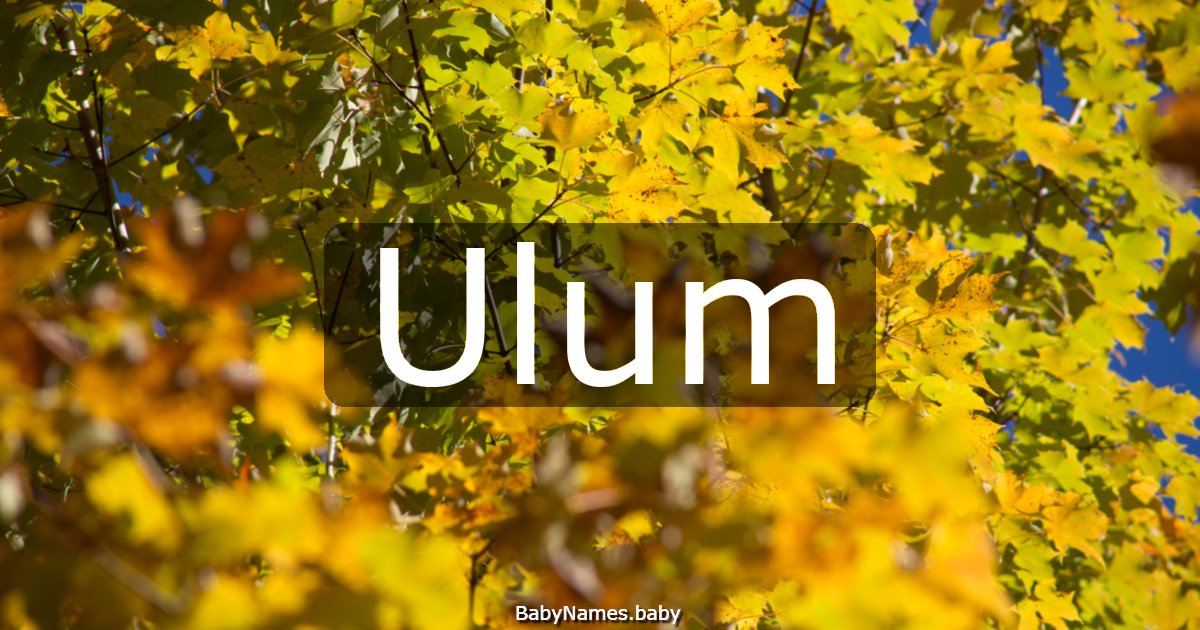 Ulum
