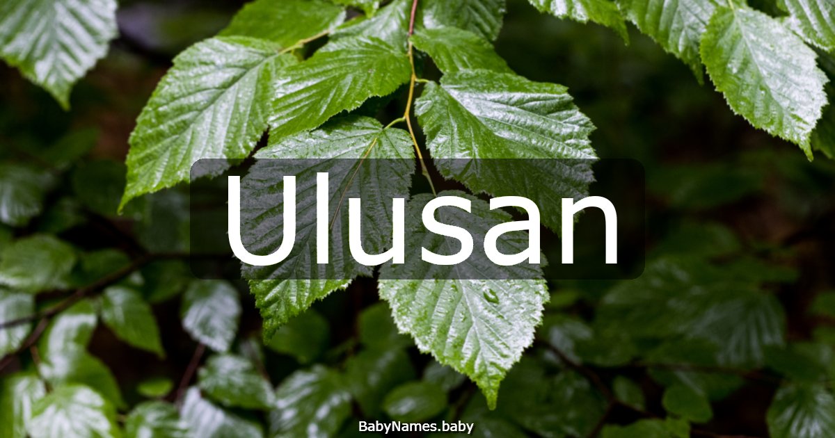Ulusan